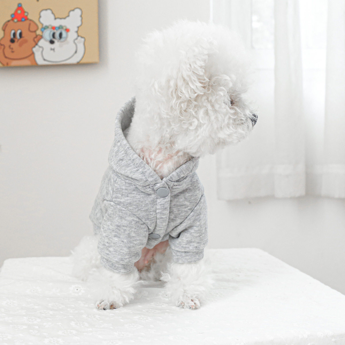 现货宠物服装宠物小狗猫咪衣服可爱工厂秋冬新款连帽卫衣一件代发