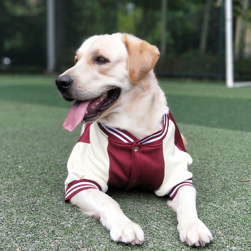 棒球服宠物服装中大型犬金毛拉布拉多狗狗衣服秋冬装厚款2024新款