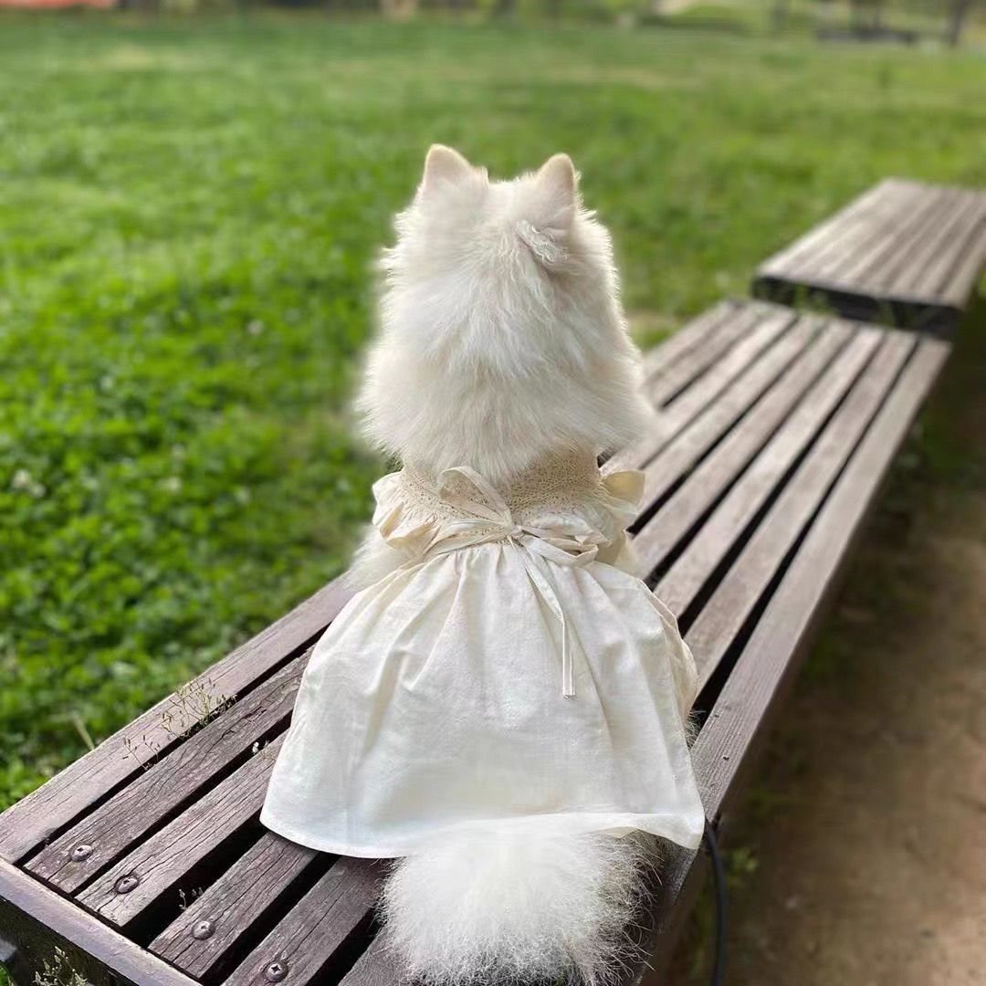 狗狗宠物衣服夏季新款碎花飞袖公主短裙泰迪比熊小狗猫咪衣服可爱