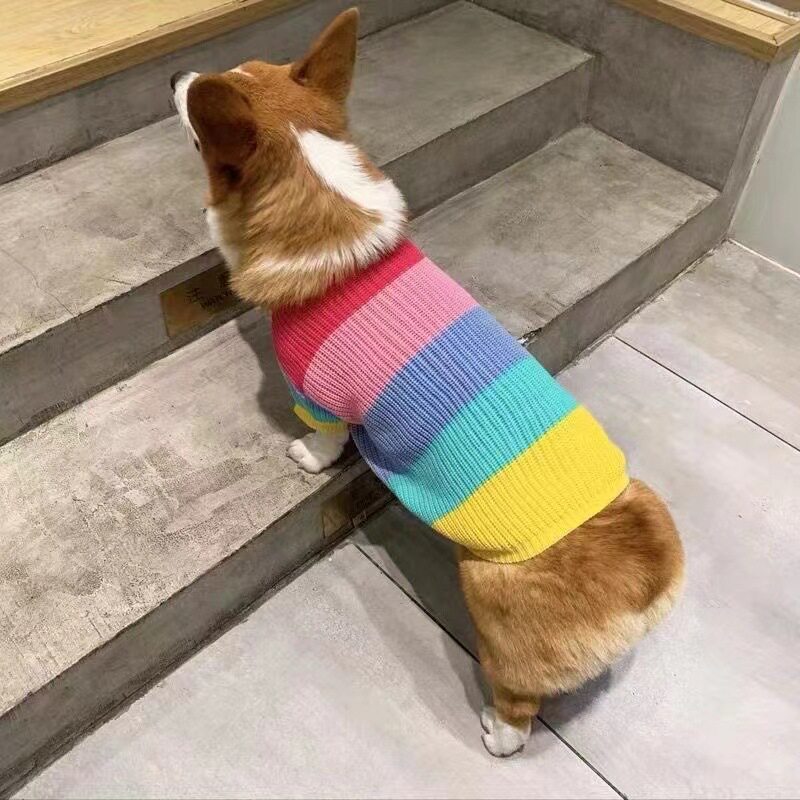 柯基狗狗衣服宠物秋冬装彩虹毛衣中小型犬比熊柴犬法斗保暖冬天