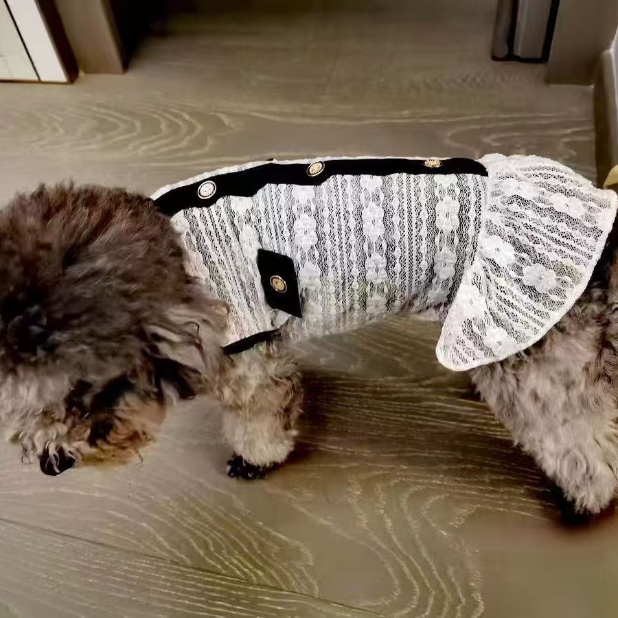 宠物猫猫狗狗小香风网纱小裙子泰迪比熊博美小型犬防掉毛夏天衣服