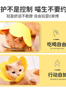 伊丽莎白圈猫绝育项圈猫咪头套防咬围脖伊利莎白圈狗脖圈宠物用品