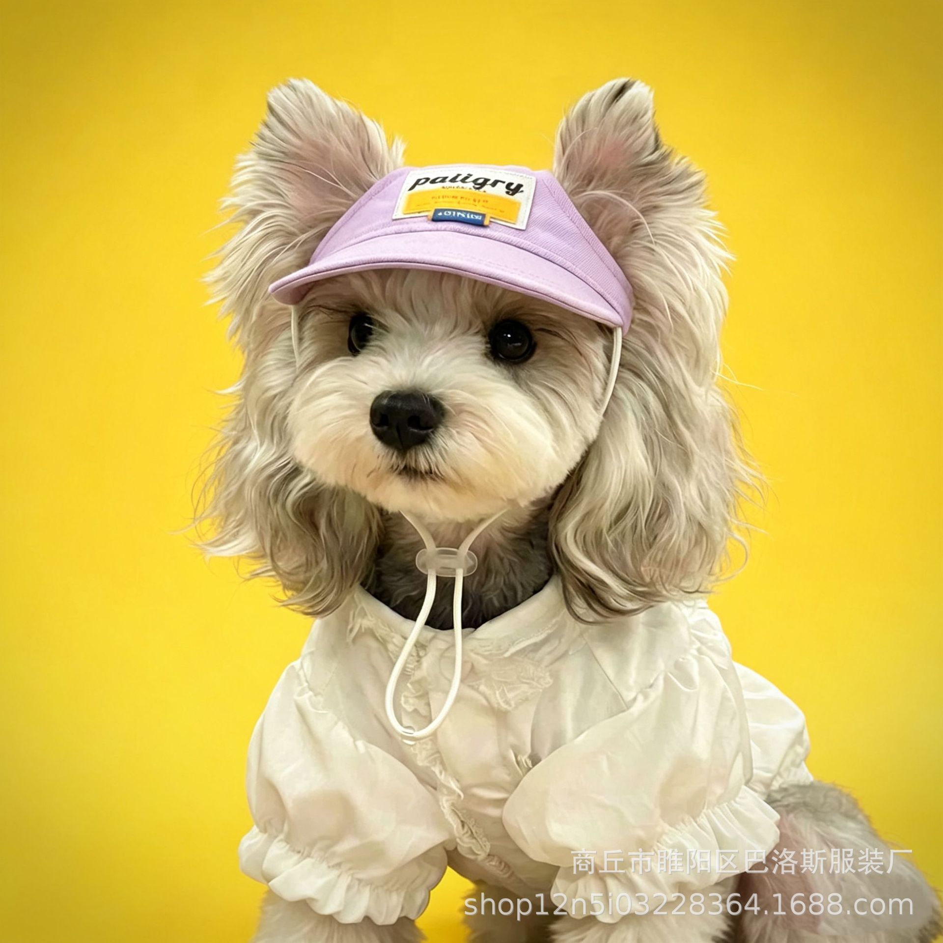 宠物狗狗帽子猫咪棒球帽鸭舌帽夏季户外遮阳可爱可代发现货仓发