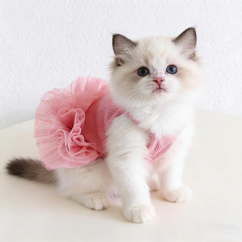 春夏宠物衣服清凉一夏蓬蓬纱裙狗狗猫咪吊带连身裙子泰迪博美公主