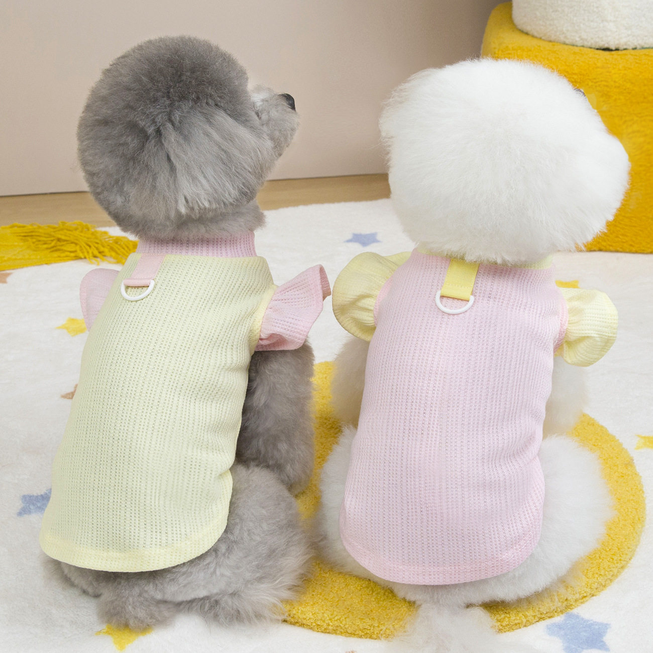 宠物衣服春夏装新款猫咪狗狗衣服泰迪比熊小型犬拼色飞袖背心薄款