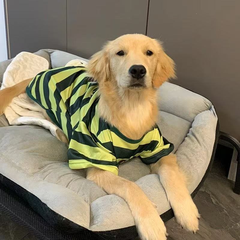 狗狗衣服 大型犬春夏薄款条纹衣服拉布拉多金毛网红潮牌狗狗衣服