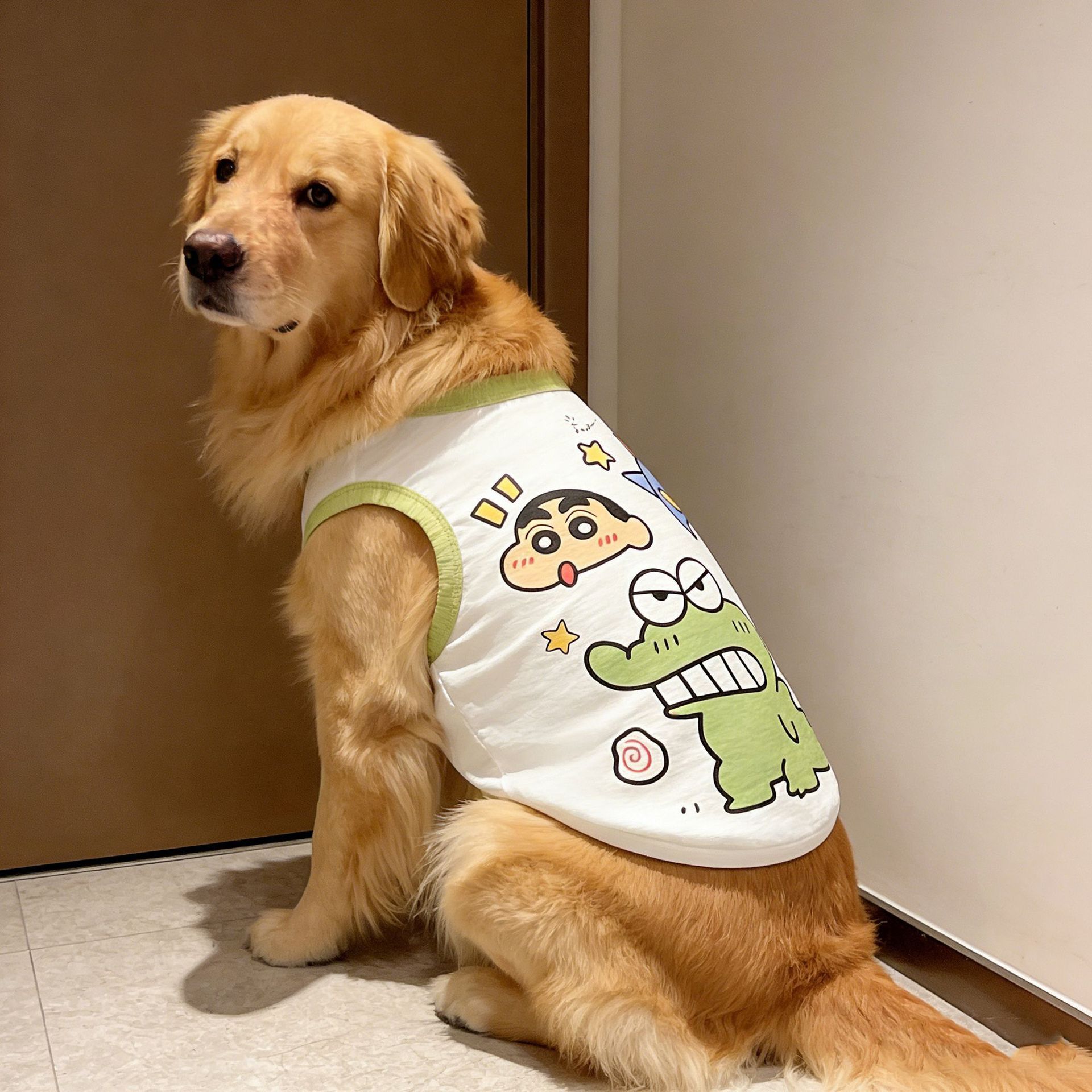 宠物狗狗衣服超萌卡通蜡笔小新亲肤背心大型犬金毛拉布拉多