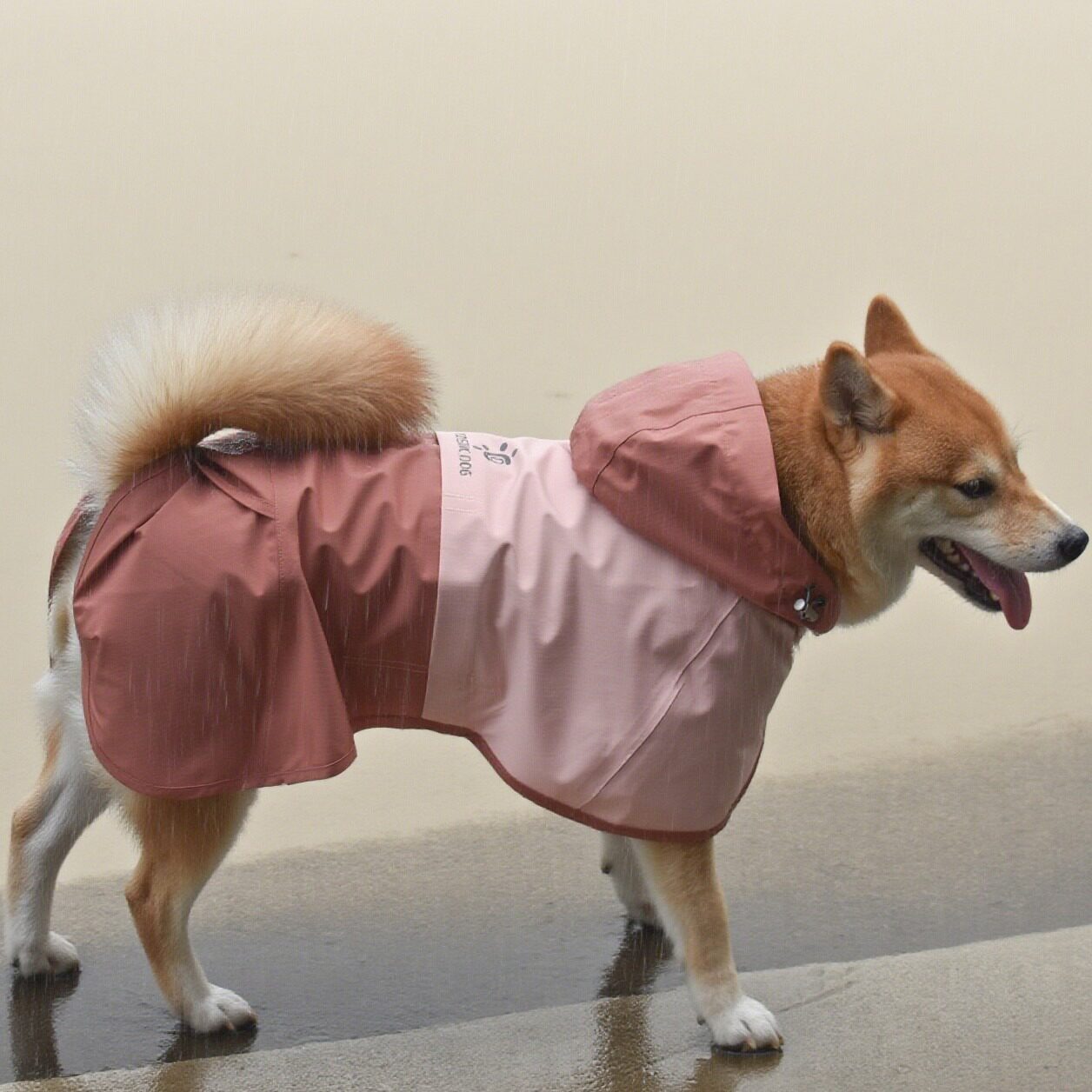 狗雨衣 四季防水宠物衣服披肩厂家多功能服装户外大小狗跨境 现货