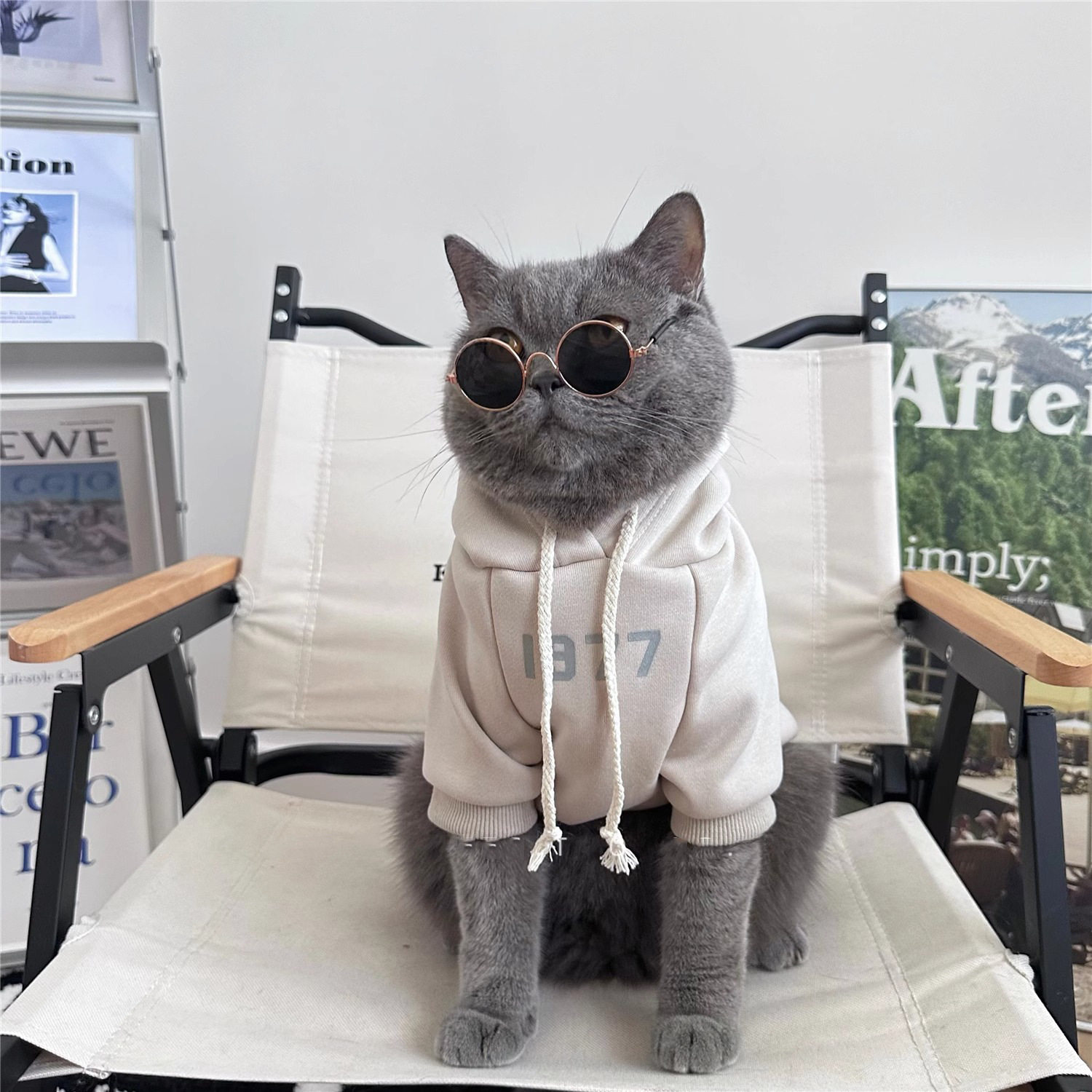 猫咪衣服冬季保暖加绒卫衣金银渐层布偶猫幼猫宠物防掉毛服装批发