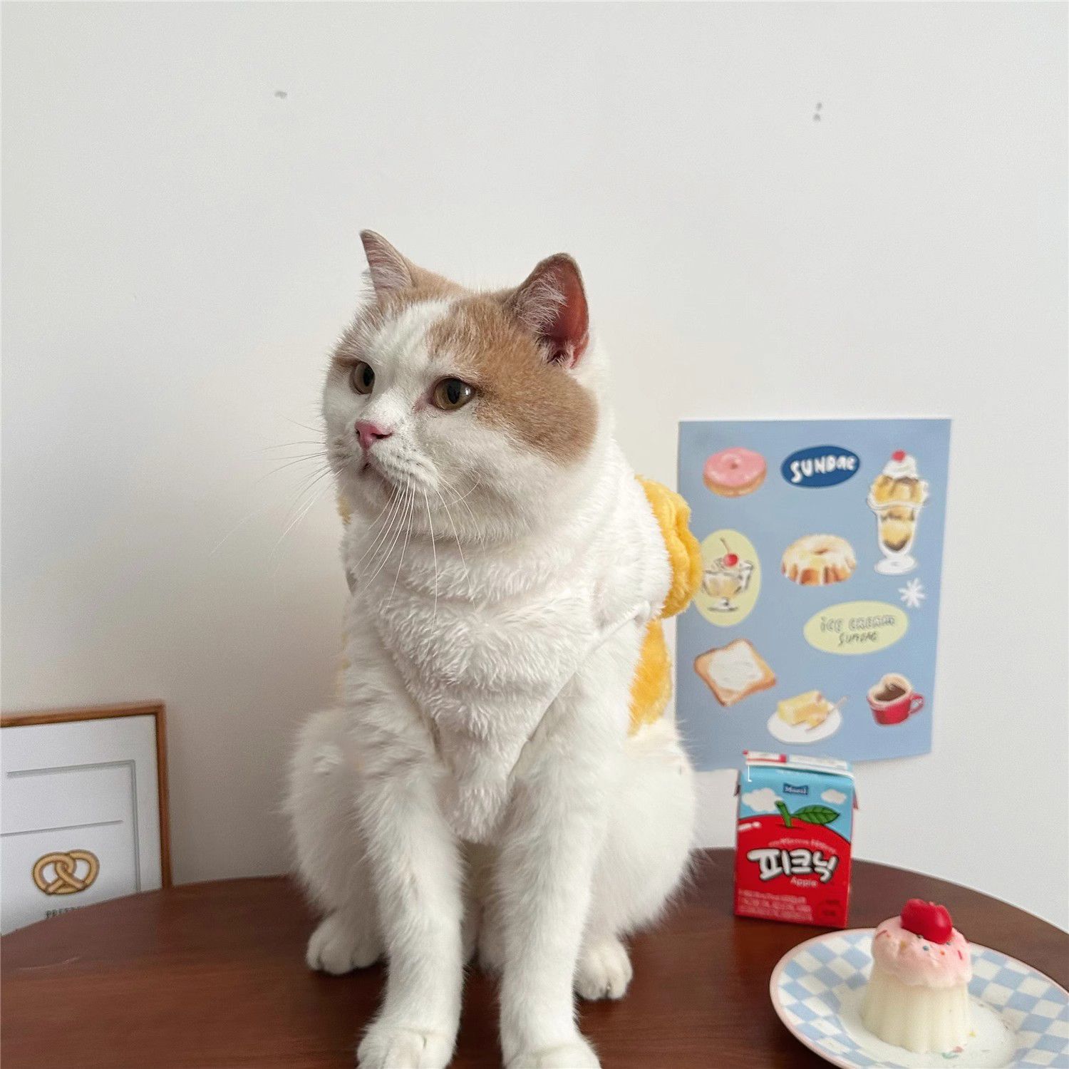 可爱猫咪衣服秋冬加绒保暖棉衣银渐层布偶猫英短幼猫小猫宠物背心