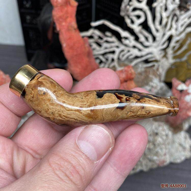 天然海柳烟嘴马达加斯加深