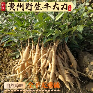 贵州野生牛大力关岭新鲜干货正宗中药材泡酒泡茶500g克