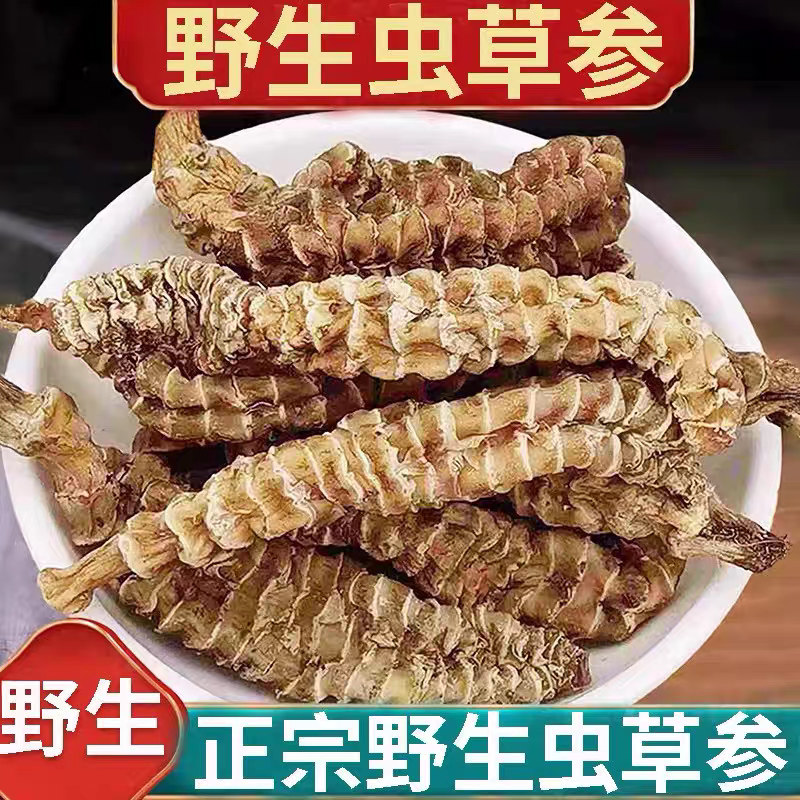 贵州野生虫草参中药材地参地蚕草石蚕地笋煲汤泡酒泡茶正品500克