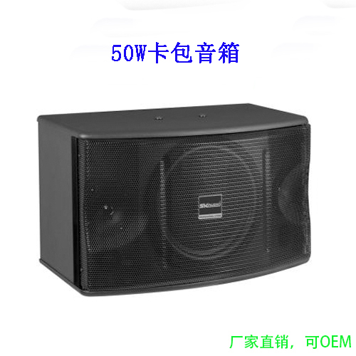 健身房舞蹈室家庭KTV卡包音箱会议室卡拉OK6.5/8/10寸50W壁挂音响