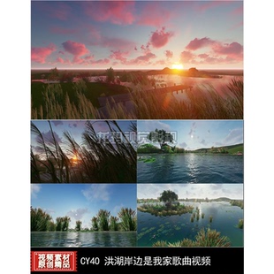 洪湖水浪打浪歌舞视频背景 西湖莲花荷塘芦苇湖景朝阳红云日落