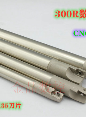 CNC BAP300R0.8 数控铣刀杆 直角铣刀杆   直柄C10-25 φ10-25