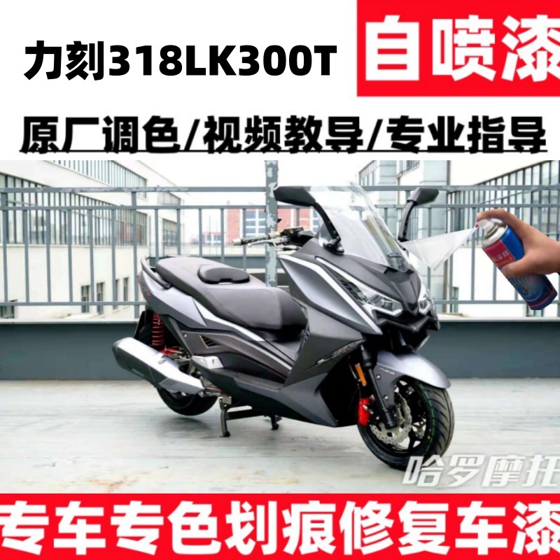 套装补漆笔去划痕力刻318LK300T