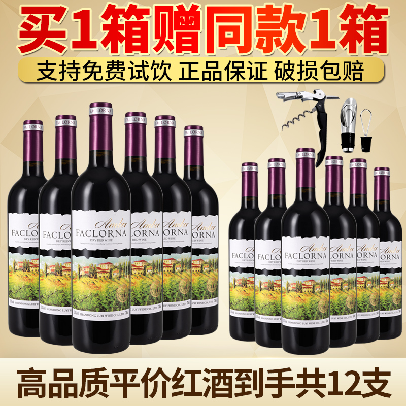 买一箱送一箱法国进口红酒整箱 13.5度干红葡萄酒6支装 正品包邮
