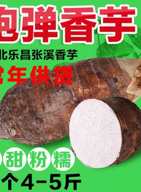 正宗韶关乐昌张溪香芋 农家新鲜绿色蔬菜炮弹芋头槟榔芋4~5斤1个