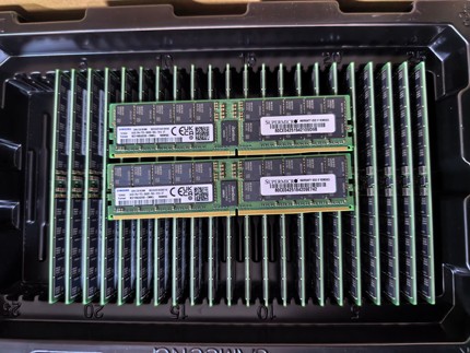 三星64G 2RX4 PC5 RDIMM服务器内存DDR5 5600ECC REG 服务器内存