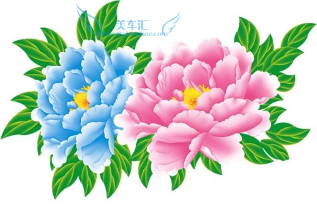 汽车装饰贴纸个性划痕遮挡拉花牡丹花车头前引擎盖车身两侧贴膜