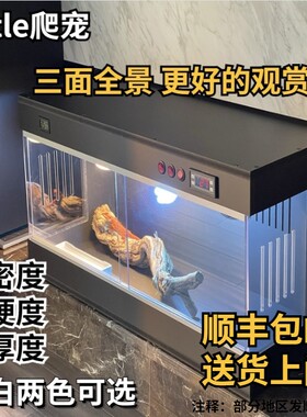 寄居蟹蜥蜴乌龟蜘蛛厂家饲养缸