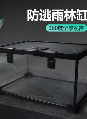 诺摩爬宠热带生态雨林缸爬宠乌龟蜥蜴角蛙水龟缸灯两栖水陆缸