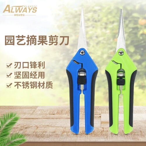 工厂供应园林摘果剪刀不锈钢多功能园艺修枝剪直头弯头园艺剪刀