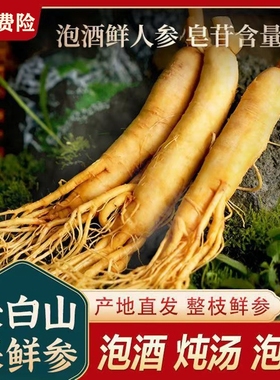 长白山特大人参新鲜人参大个品质野山参人叁保鲜参整枝泡酒专用