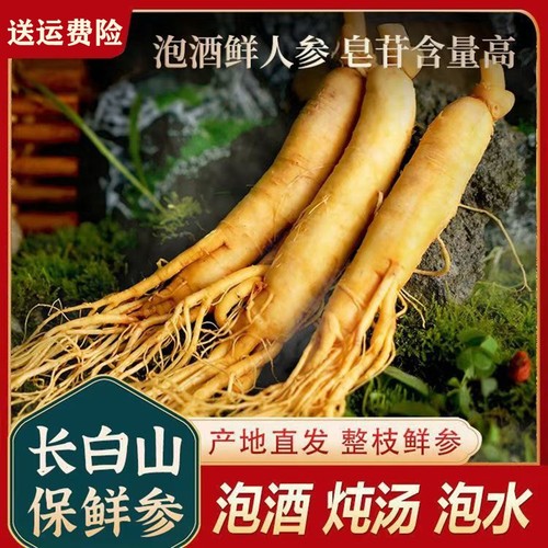 长白山特大人参新鲜人参大个品质野山参人叁保鲜参整枝泡酒专用