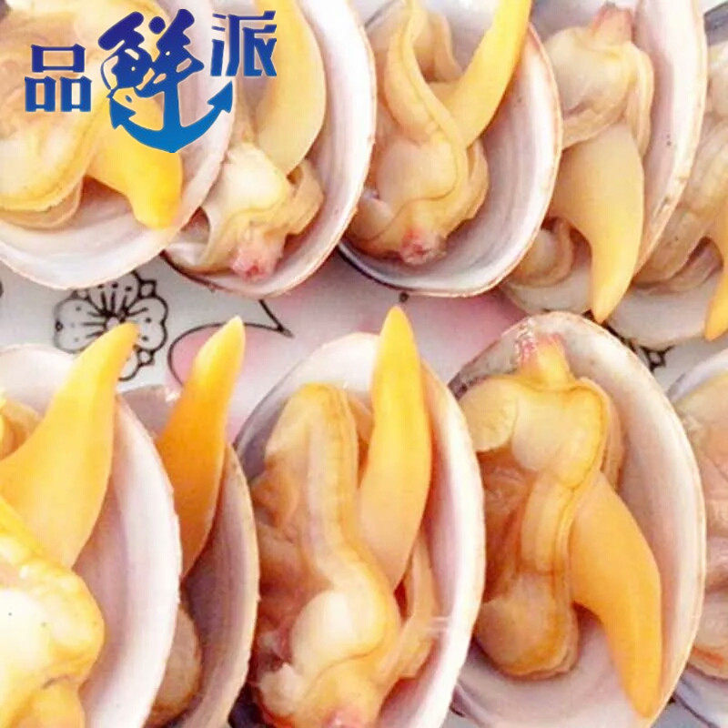 花甲蛤蜊花蛤无沙花蛤蜊花甲鲜活蛏子鲜活贝类辣炒小贝类