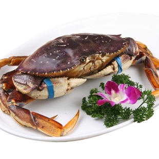 1.5-2.5斤/只论只鲜活珍宝蟹加拿大进口海鲜太子蟹黄金蟹元宝蟹