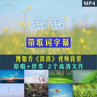 傅如乔微微唯美城市风景高清LED视频背景原唱消音无人声伴奏