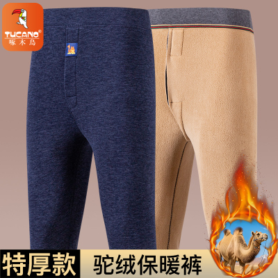 啄木鸟冬季加绒加厚保暖裤男中年高腰驼绒秋裤防寒打底裤棉裤大码