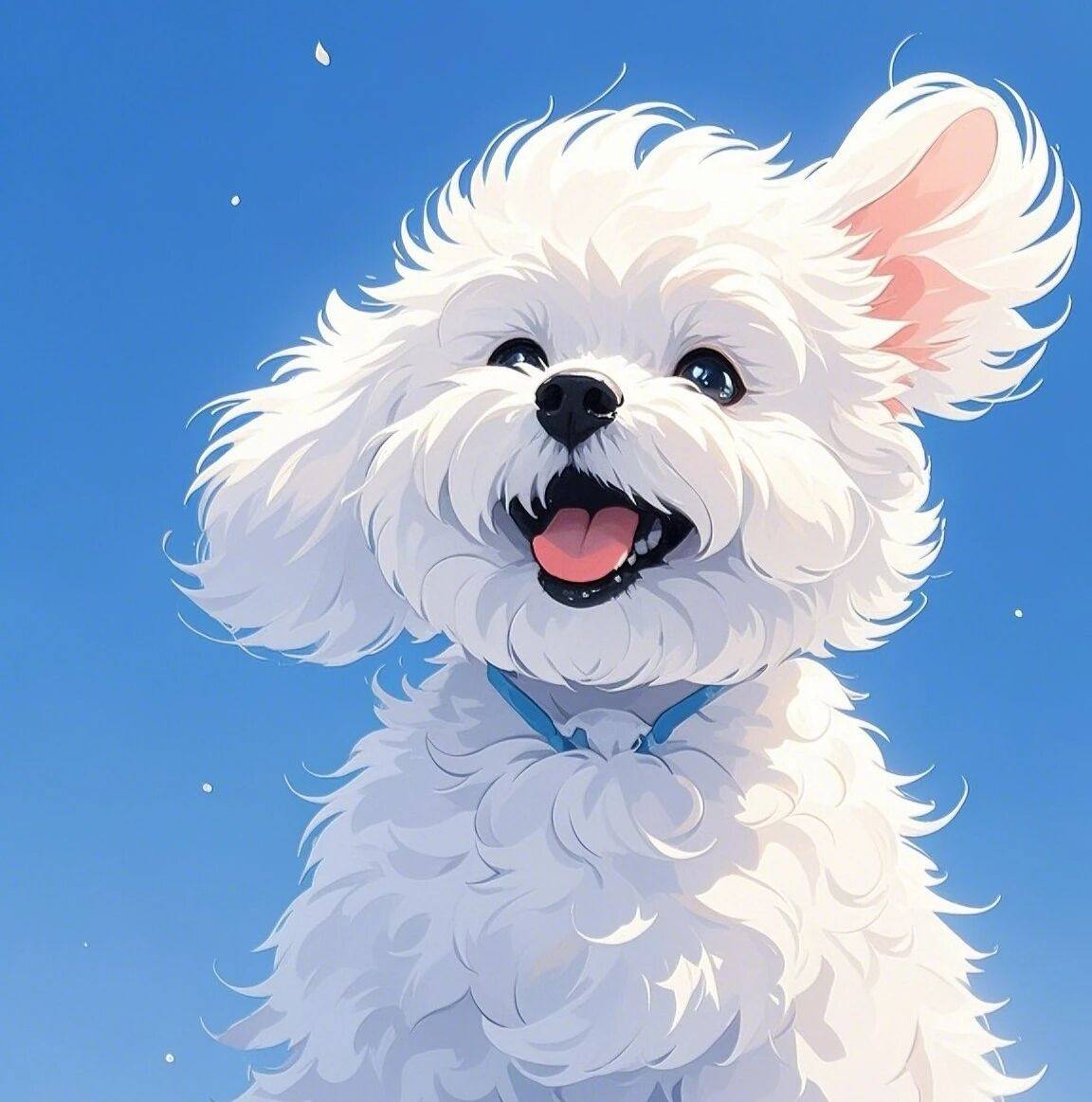 【特价】276-2131-羊毛拉架套装（不退不换介意勿拍）