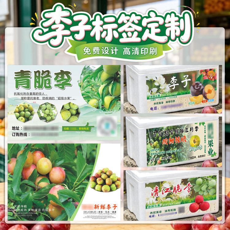 李子专用标签定做自酿果酒青梅酒商标设计食品包装贴纸印制