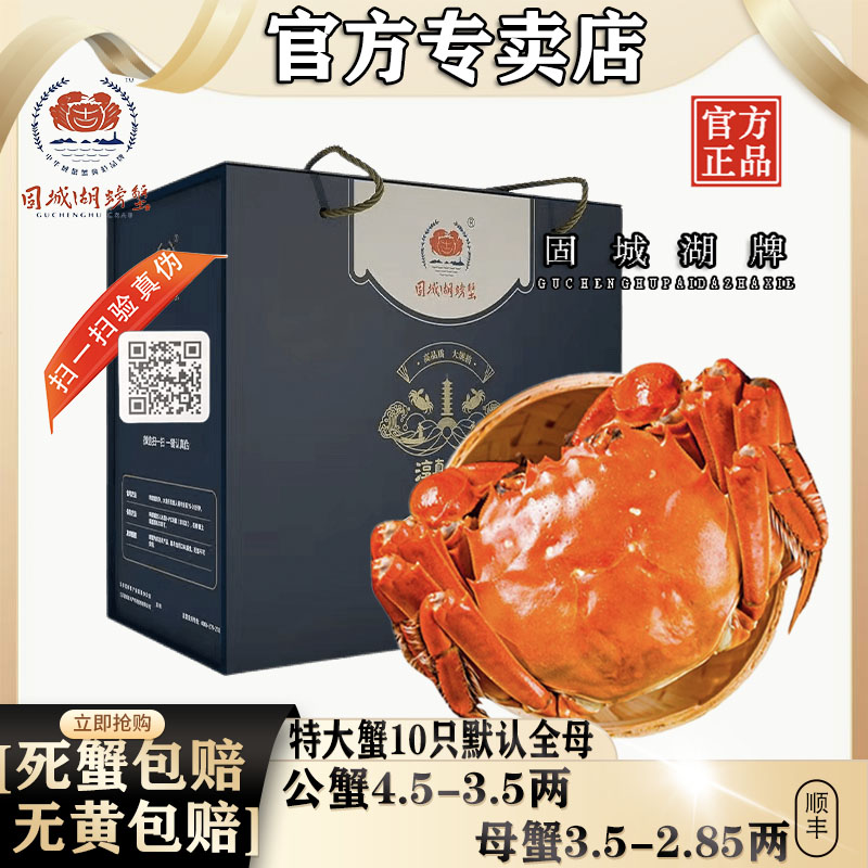 特大蟹10只固城湖母2.8到3.5两
