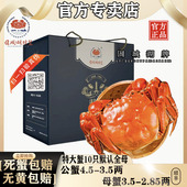 特大现货固城湖大闸蟹螃蟹鲜活公母蟹10只礼盒装 活蟹 顺丰空运
