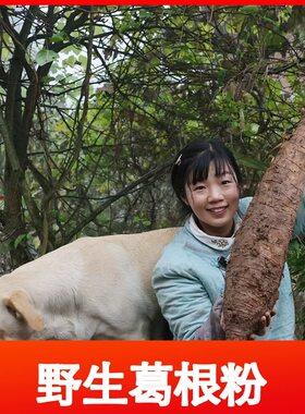 【小张书记】重庆石柱特产葛根粉深山柴葛根正宗农家手工特产