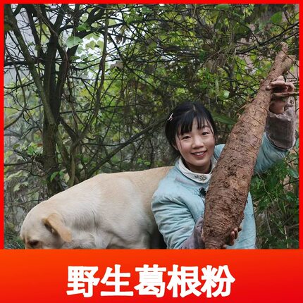 【燕麦行游】重庆石柱特产葛根粉深山柴葛根正宗农家手工特产