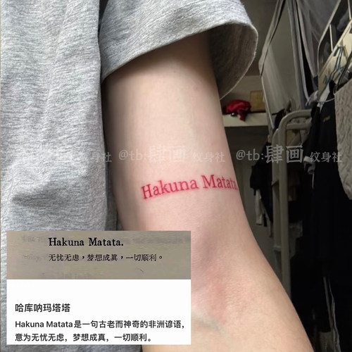 哈库呐玛塔塔手臂纹身贴防水持久