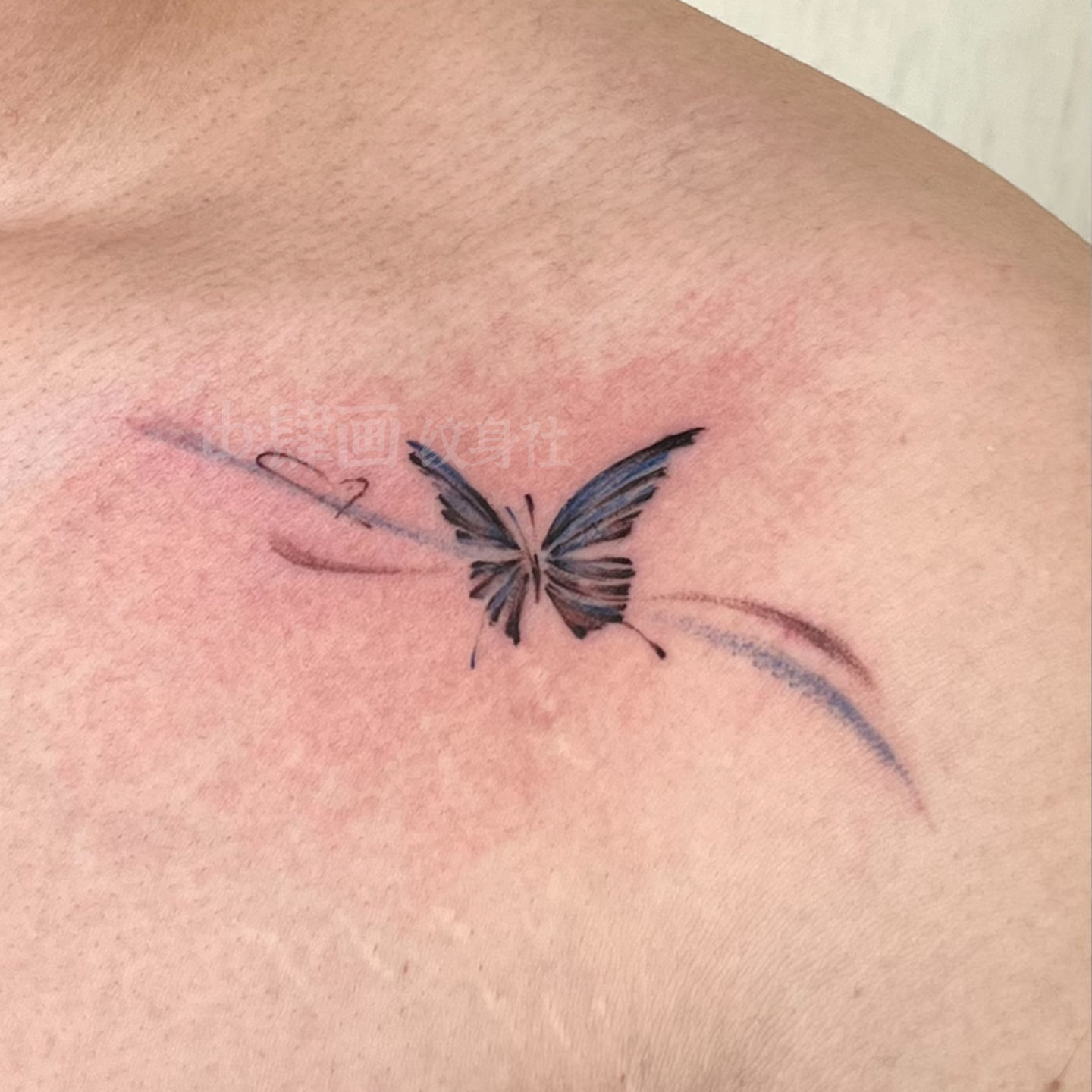 蝶衍 锁骨蝴蝶纹身贴男女 ins个性高级小众 防水持久遮疤贴纸可洗,文具电教/文化用品/商务用品,贴纸/立体贴纸,淘宝优惠券,粉丝福利购,淘宝优惠卷