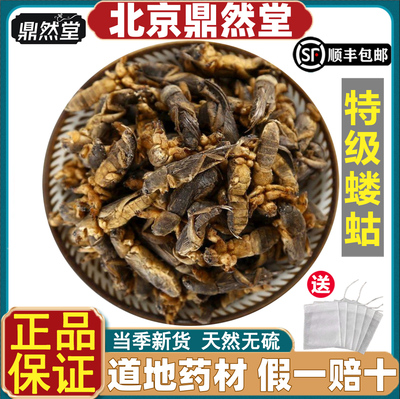 北京鼎然堂特级蝼蛄东北蝲蝲蛄