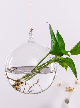 创意水培植物吊挂鱼缸悬挂透明玻璃花瓶麻绳小吊瓶室内家居装饰瓶