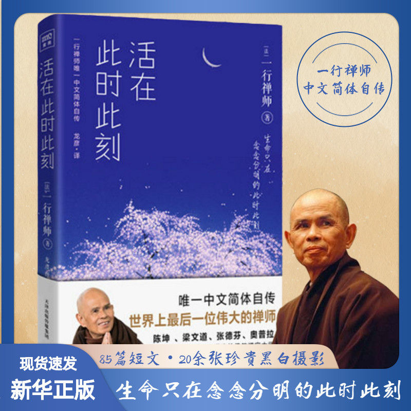 你活出生命意义的灵性之书 讲述一行禅师真实的生活经历心灵励志书籍