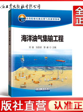 海洋油气集输工程(高等院校石油天然气类规划教材)