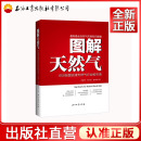 刘小丽 姜雪峰 著 图解天然气 石油工业出版 闫建涛 2019年10月出版 社9787518336678 600张图说清天然气行业和市场