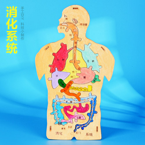 晋龙轩科技小制作科学实验教具