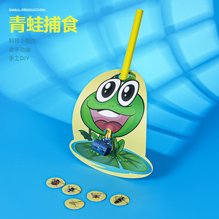 青蛙捕食昆虫 幼儿园手工DIY科技小制作创意教具材料包研学推荐