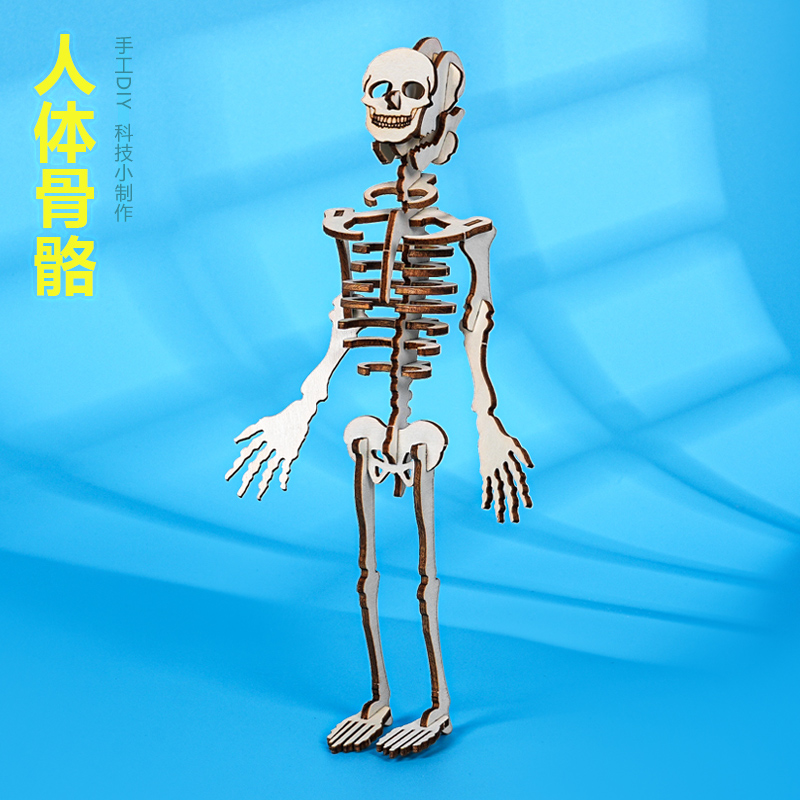 晋龙轩科学实验手工diy教具益智